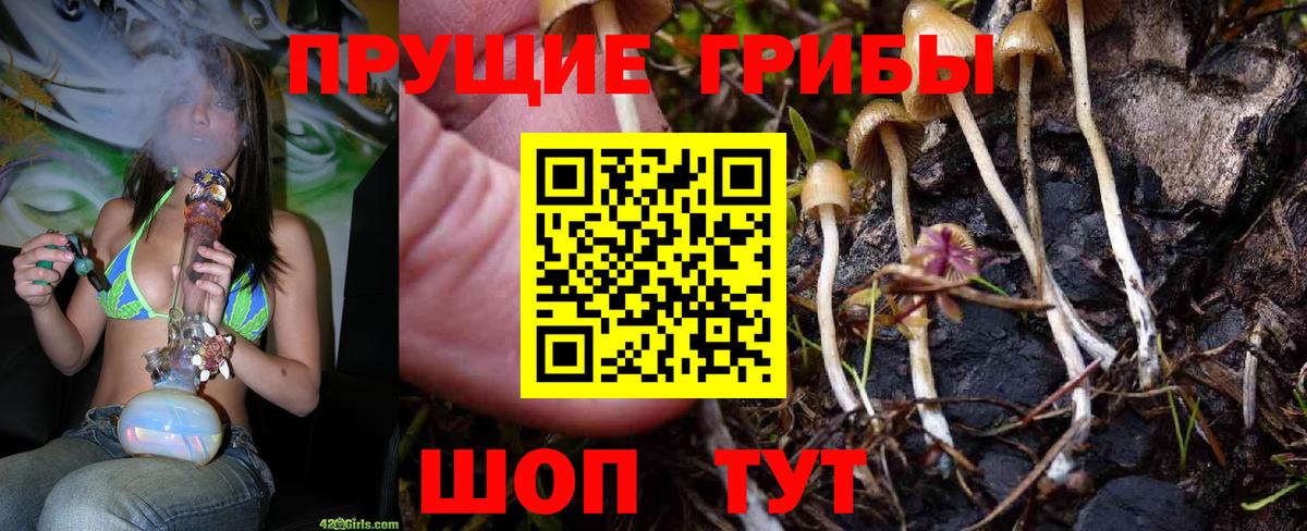 Псилоцибиновые грибы Psilocybine cubensis  Вход с VPN  Новокуйбышевск 